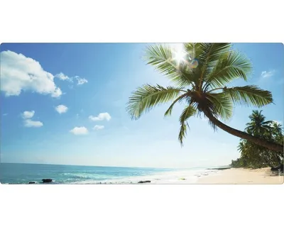 Produktbild von mySPOTTI Badrückwand aqua Beach 90x45 cm