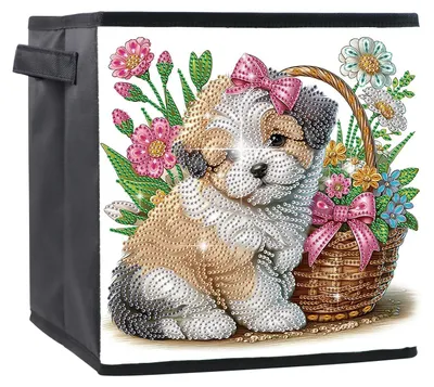 Aufbewahrungskorb 25x25x26 cm – Organizer für Bad & Wohnzimmer