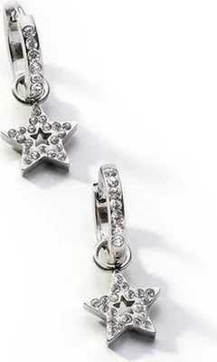 Produktbild von Damenohrringe AN Jewels ADC.E11SC