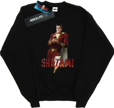 Produktbild von DC Comics - Sweatshirt für Herren BI44499 (5XL) (Schwarz)