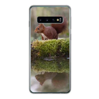 Produktbild von MuchoWow® Handyhülle Schutzhülle Hülle für Samsung Galaxy S10 Waldtiere - Wasser - Moos Silikon Softcase Handy Hülle - Handytasche