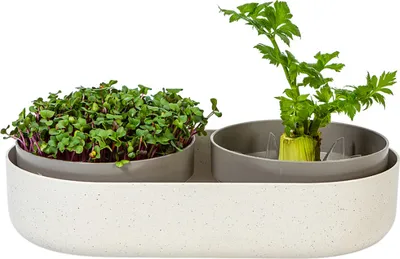 Obrázok produktu pre Plastia MICROGREENS + Miska na klíčenie Regrow - slonová kosť s kávovou usadeninou