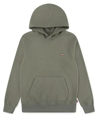 Produktbild von Levi's Kids Mini Batwing Hoodie Hooded Sweatshirt Green, grün, 16 Jahre