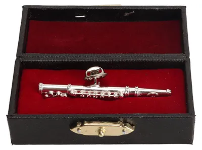 Immagine prodotto di Spilla a forma di flauto in argento, spilla miniaturizzata a forma di strumento musicale con astuccio rosso foderato in velluto