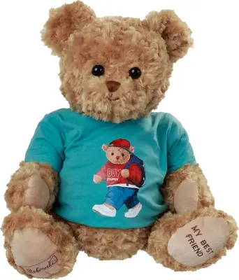 A teddy bear sitting and facing the camera.