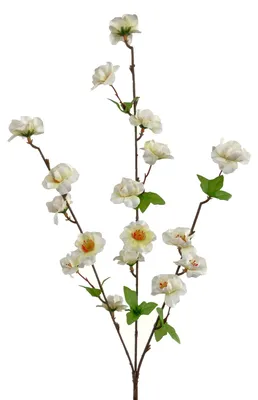 Produktbild von Künstlicher Kirschblütenzweig ca. 62cm CREME-WEISS