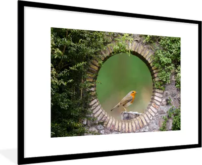 Produktbild von MuchoWow® Gerahmtes Poster Vogel - Durchblick - Rotkehlchen 90x60 cm - Poster mit Schwarzem Bilderrahmen Wandposter Rahmen Foto Bilder - Wanddekoration - Fotos