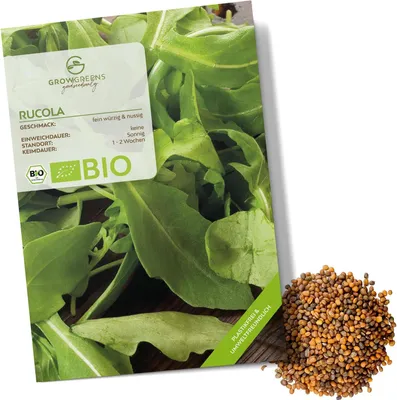 Produktbild von Rucola Samen (Eruca sativa, 500 Korn) - Rauke Saatgut aus biologischem Anbau ideal für die Anzucht im Garten, Balkon oder Terrasse