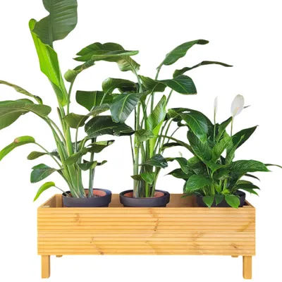 Image de Grande cache-pot en bois, pot décoratif pour plantes de jardin et d'intérieur, chêne clair 115x40x40