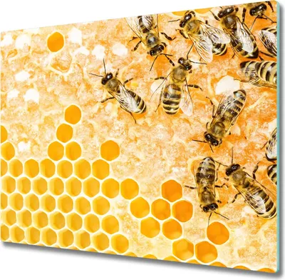 Produktbild von Glas Herdabdeckplatte 60x52 cm Spritzschutz Glasabdeckplatte Schneidebrett Arbeitsbienen