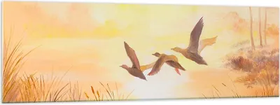 Produktbild von Bilder auf glas - Vogel Natur Wasser - 160x50cm - Glasbilder - Wandbilder - Kunstdruck - zum Aufhängen bereit - Wanddekoration aus Glas - Glas Bilder - Wandbild auf Glas - Einteilig - GAB160x50-3686