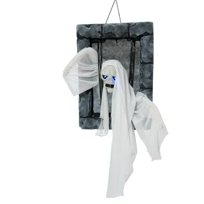 Obrázok produktu pre EUROPALMS Halloweenská figúrka ducha vo väzení, 46 cm (83316071)