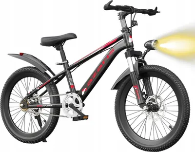 Produktbild von Kinderfahrrad 20 Zoll Scheibenräder Seitendämpfer Kettenschaltung