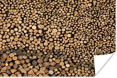Produktbild von MuchoWow® Poster Hunderte von Baumstämmen liegen auf und nebeneinander 120x90 cm - Wandbild