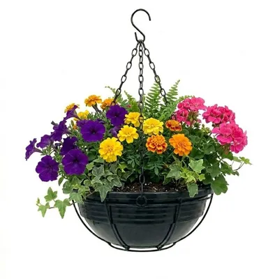 Produktbild von Plastard Blumenampel Ø 25 cm mit Metallkorb Anthrazit Blumenschale hängend