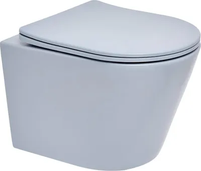 A wall-mounted toilet with the lid down, shown from a three-quarter front angle against a white background.