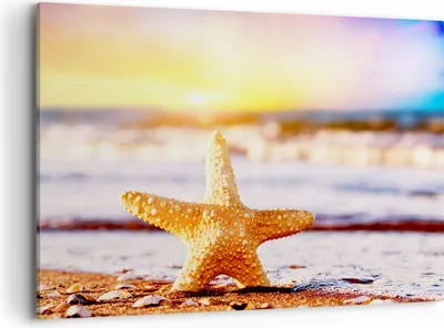 Produktbild von Bild auf Leinwand - Leinwandbild - Starfish Strand Sand Ozean - 120x80cm - Wand Bild - Wanddeko - Leinwanddruck - Bilder - Kunstdruck - Wanddekoration - Leinwand bilder - Wandkunst - AA120x80-2815