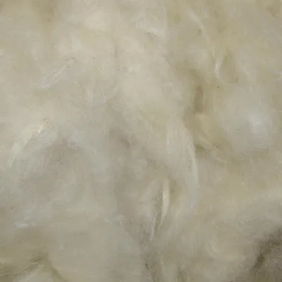 Immagine prodotto di Nobby 81104, Nido, Lana, Bianco, 50 g, 1 pezzi