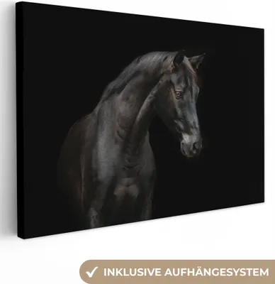 Produktbild von OneMillionCanvasses® - Leinwandbilder - 140x90 cm, Pferd - Tiere - Schwarz - Porträt, Wandbilder Kunstdruck Wanddekoration