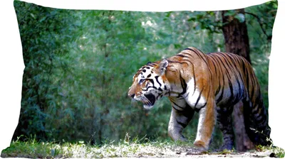 Produktbild von MuchoWow® Zierkissen Sofakissen Wohnzimmer Dekokissen 50x30 cm Tiger - Wald - Bäume - Wohnzimmerdekoration - Polster mit Photo