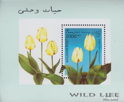 Produktbild von Briefmarken Afghanistan 1997 Mi Block93 (kompl.Ausg.) postfrisch Tulpenzüchtungen