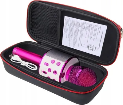 Zdjęcie produktu dla Mikrofon Karaoke Bluetooth Wm-308