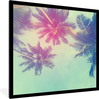 Produktbild von MuchoWow® Gerahmtes Poster Palmen - Palmenblätter - Sommer - Tropisch 40x40 cm - Poster mit Schwarzem Bilderrahmen Wandposter Rahmen Foto Bilder - Mit Rahmen - Wanddekoration Schlafzimmer