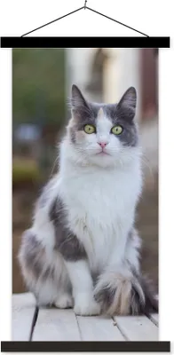 Produktbild von MuchoWow® Textilposter Katze - Porträt - Tisch - Mädchen - Kinder - Jungen 40x80 cm mit schwarzem Rahmen - Wandemalerei