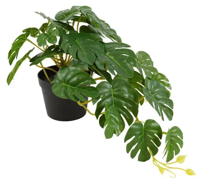 Immagine prodotto di Countryfield, pianta artificiale Monstera, pianta pensile verde, decorazione, 23x25x28 cm