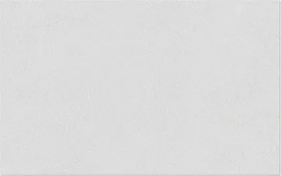 Zdjęcie produktu dla Włóknina Erfurt 1004305 Basic 103 10,05x0,53 m