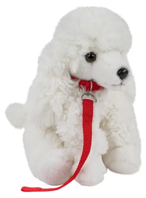 Produktbild von Kuscheltier Pudel mit Leine sitzend weiß 28 cm Plüschhund