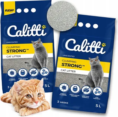 Produktbild von Calitti Strong 2x5L Katzenstreu Bentonit, klumpenbildend, Toilette