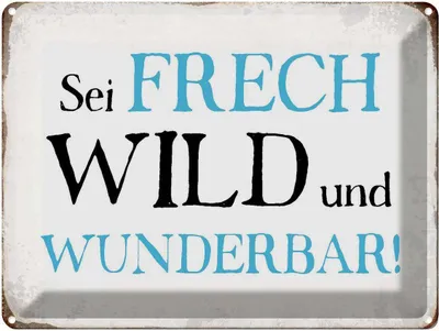 Produktbild von vianmo Blechschild 30x40 cm sei frech wild wunderbar Retro Spruch Zitat