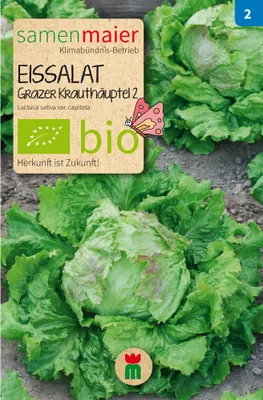 Produktbild von Eissalat Grazer Krauthäuptel 2 - Saatgut für zirka 150 Pflanzen