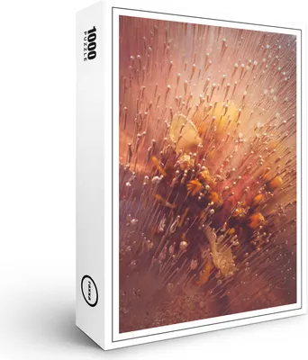 Produktbild von raxxa Premium-Puzzle "Eisblütenzauber", 1000 Teile