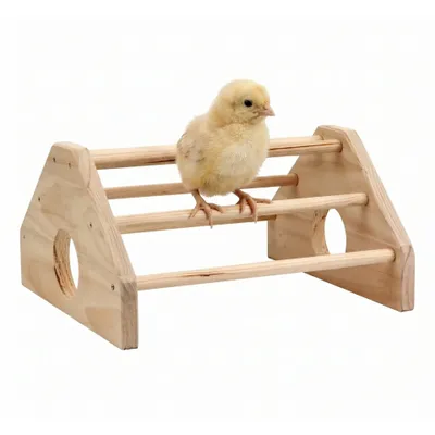 Image de Agrarzone Perchoir Premium pour poussins