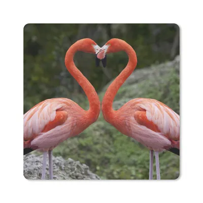Produktbild von MuchoWow® Mauspad Mousepad Zwei Flamingos bilden ein Herz 20x20 cm - Mousepads - Maus Mat - Pad - Mausunterlage - Desk Mat - Bureauartikeln