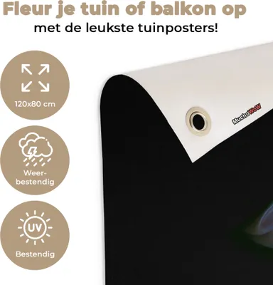 Produktbild von MuchoWow®