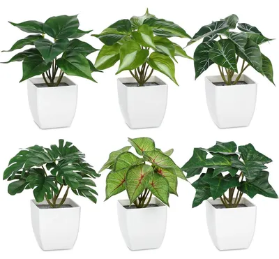Produktbild von 6er Set Kunstpflanzen ca. 15 cm im weißen Topf