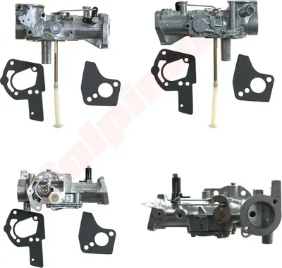 Image de Carburateur Pour Briggs & Stratton ( 490533 , 495426 , 495951 , 498298 , 692784 )
