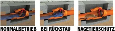 Produktbild von Capricorn Rückstauverschluss mit verriegelbarer Rückstauklappe DN 50 Typ 4 9-5010-050-00-03-03