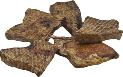 Image de Classic Dog Poumon de boeuf - 1 kg