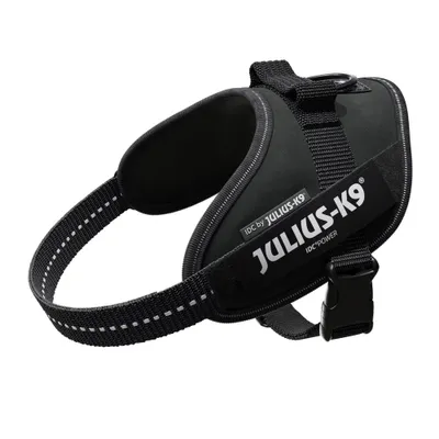 Produktbild von Julius-K9 14831, Hund, Westengeschirr, Mini/M, Schwarz, Einfarbig, 49 cm