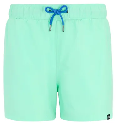 Produktbild von Regatta - "Mawson II" Badeshorts für Herren RG7213 (XL) (Eisgrün/Sonic-Blau)