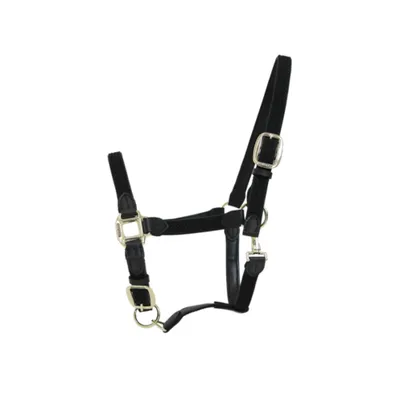 Produktbild von Kentucky Horsewear Plaited Nylon Stallhalfter
