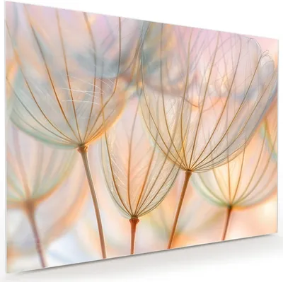 Produktbild von Glasbild 120x90cm in XXL für Wohnzimmer, Schlafzimmer Motiv Pusteblumen Kunst