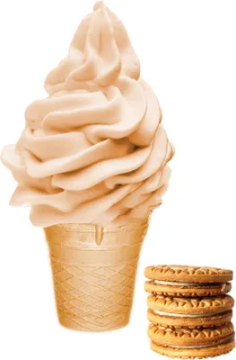 Zdjęcie produktu dla Lody biszkoptowe w proszku 100 kg