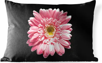 Produktbild von MuchoWow® Outdoor Kissen - Blume - Rosa - Natur - 60x40 cm - Wetterfest - Lounge Kissen - Zierkissen - Kissen für Innenräume