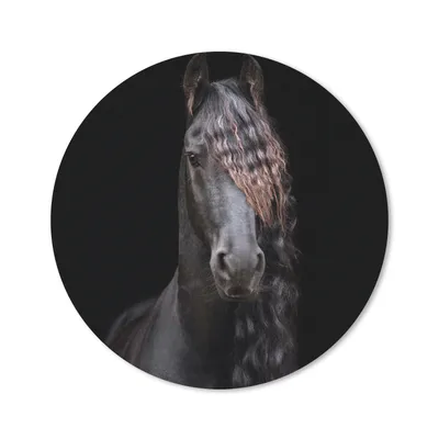 Produktbild von MuchoWow® Mauspad Mousepad Pferde - Friesisch - Mähne - Schwarz - Tiere 40x40 cm - Mousepads - Maus Mat - Pad - Mausunterlage - Schreibtisch Accessoires