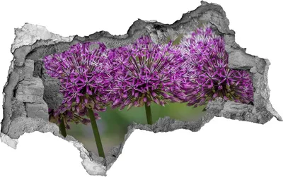 Produktbild von Selbstklebender Loch-3D-Aufkleber 95x73 cm Knoblauch Blume